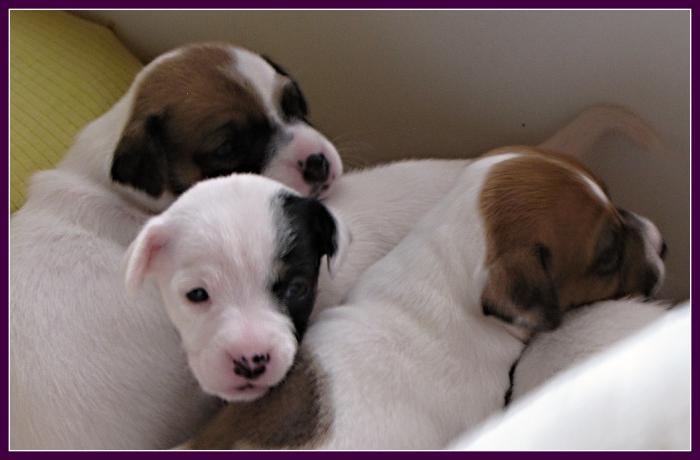 foto k příspěvku  od DiDa