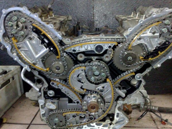 foto k příspěvku  od cippis