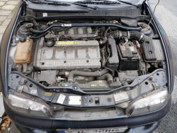 foto k příspěvku  od petanek