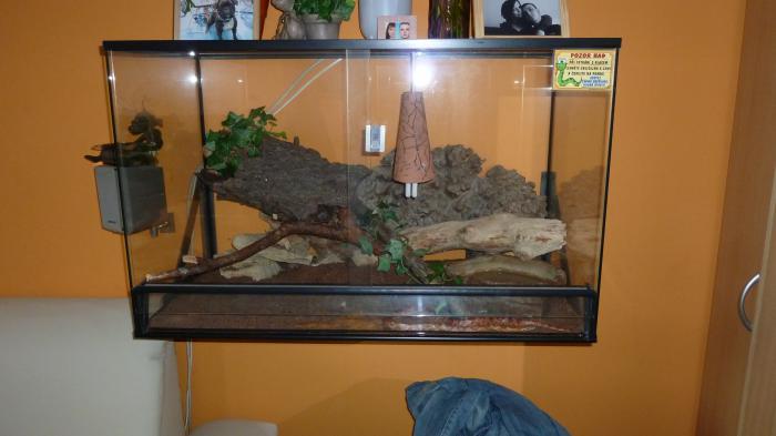 foto k příspěvku  od bigmat