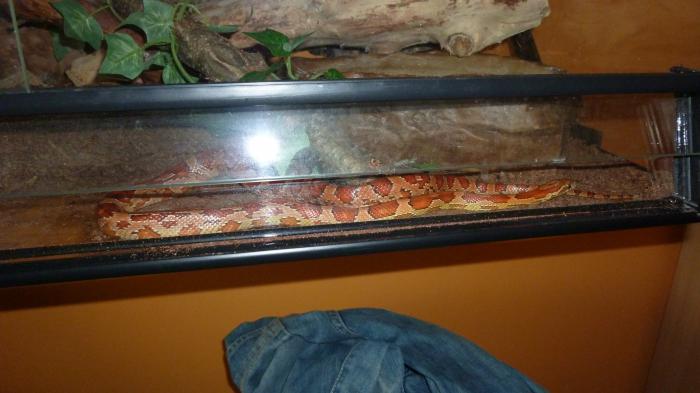 foto k příspěvku  od bigmat