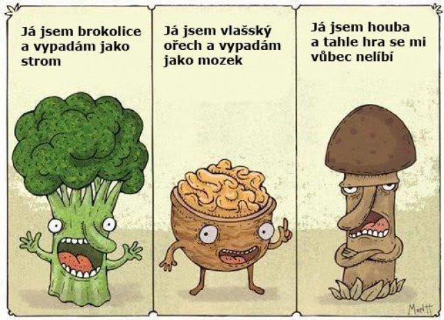 foto k příspěvku  od Rustapha-659