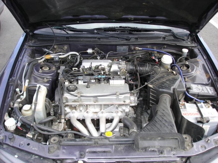 foto k příspěvku  od GooGoo