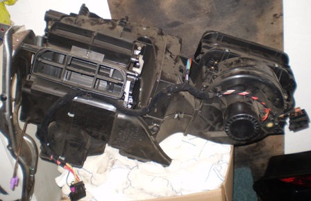 foto k příspěvku  od Aleshak