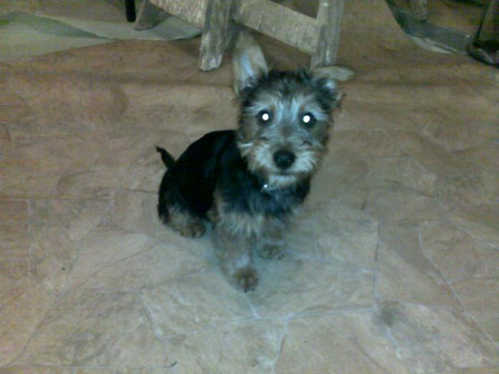 foto k příspěvku  od Only_One