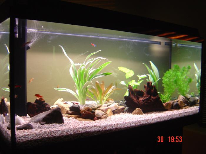 foto k příspěvku  od cob1,2HTP:)