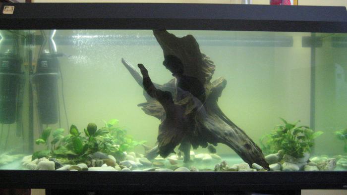 foto k příspěvku  od cob1,2HTP:)