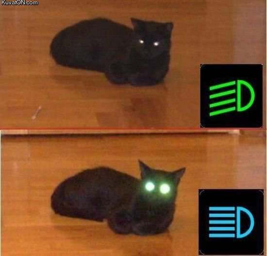foto k příspěvku  od badczech
