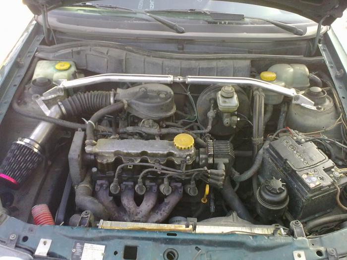 foto k příspěvku  od SpasitelKlokanu