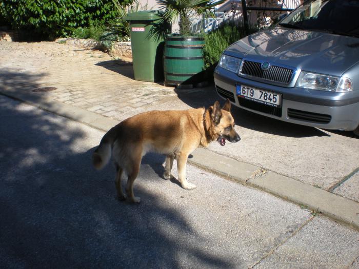 foto k příspěvku  od Antonio