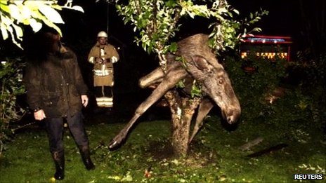 foto k příspěvku  od Kamil