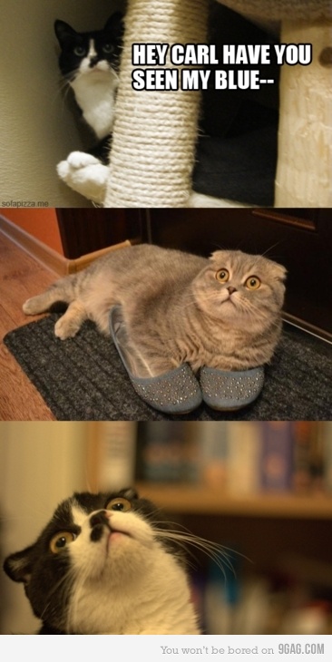 foto k příspěvku  od ruffrider