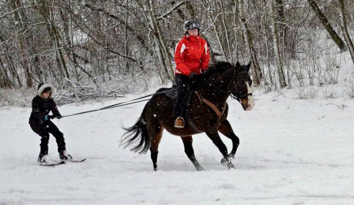 foto k příspěvku  od EFCA