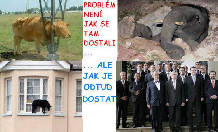 foto k příspěvku  od Kleneex