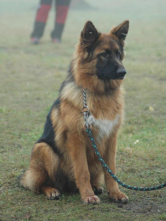 foto k příspěvku  od Martinec7