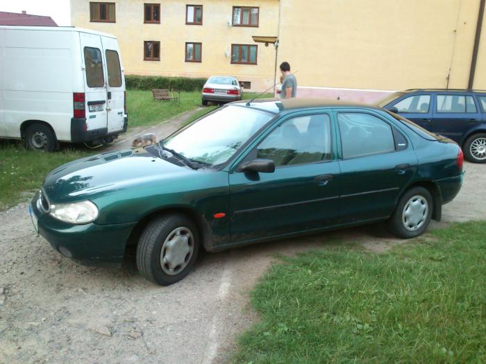 foto k příspěvku  od M.a.R.i