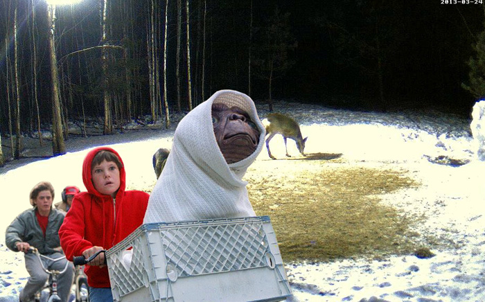 foto k příspěvku  od CRK