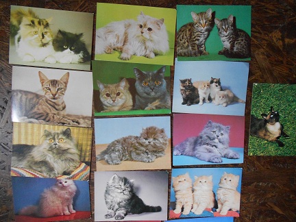 foto k příspěvku  od pindak