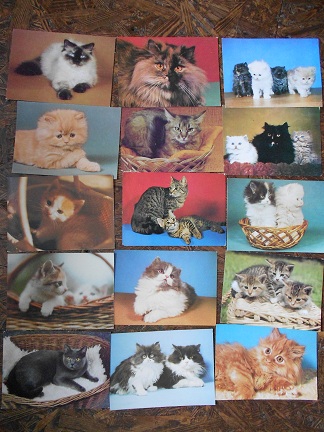 foto k příspěvku  od pindak