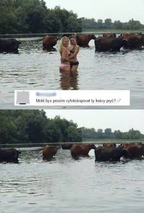 foto k příspěvku  od Only_One