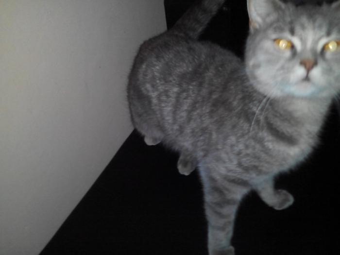foto k příspěvku  od Spooky1