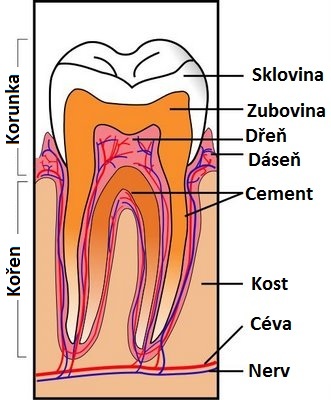 foto k příspěvku  od CervinVega