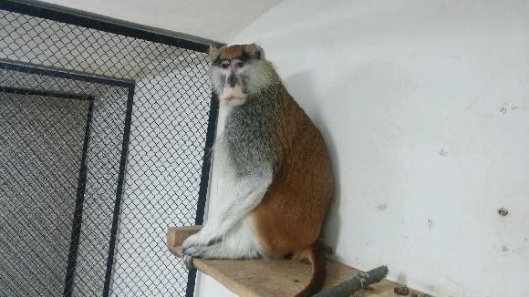 foto k příspěvku  od hifibi