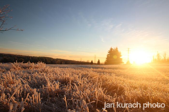 foto k příspěvku  od Reprák