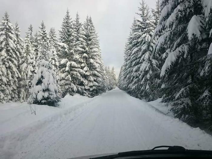 foto k příspěvku  od Transportérák