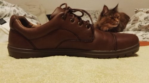 foto k příspěvku  od xSam