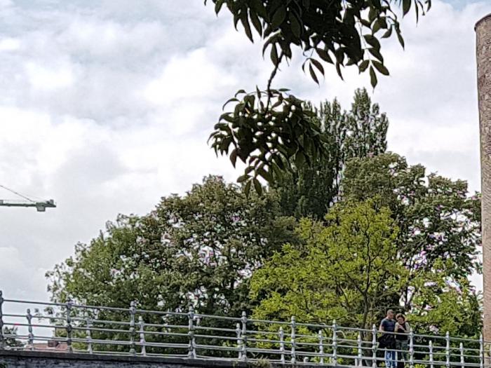 foto k příspěvku  od Downland