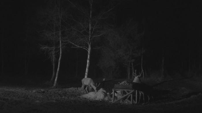 foto k příspěvku  od sonyk02