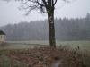 waldviertel rally