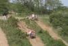 Offroadmarathon Dobřany 2008